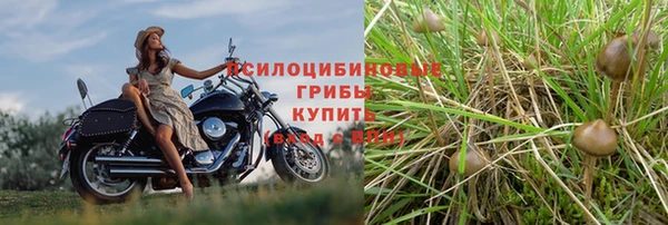 гашик Абдулино