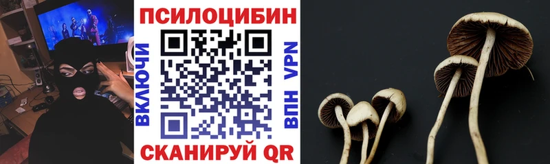 Псилоцибиновые грибы мицелий  МЕГА ссылка  Яранск 